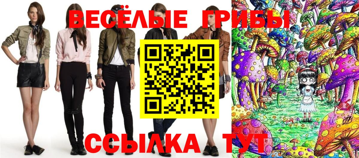 как найти   Вход с VPN  Сертолово  Галлюциногенные грибы Psilocybe  Псилоцибиновые грибы мухоморы 