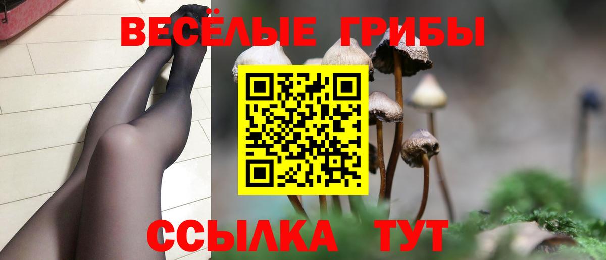 Псилоцибиновые грибы прущие грибы Сертолово